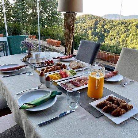 埃尔文托斯酒店及餐厅 4* Sant Felíu de Pallarols